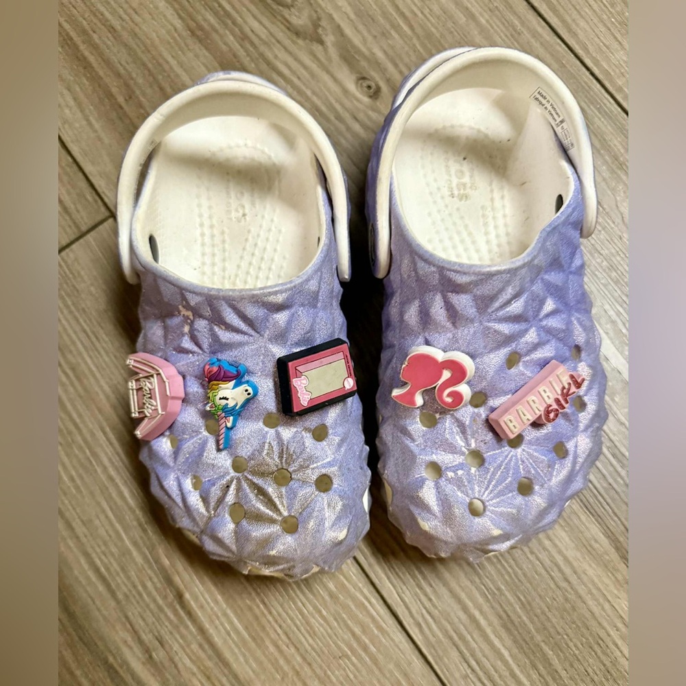 Kids Crocs Purple Clogs with Fun Charms
